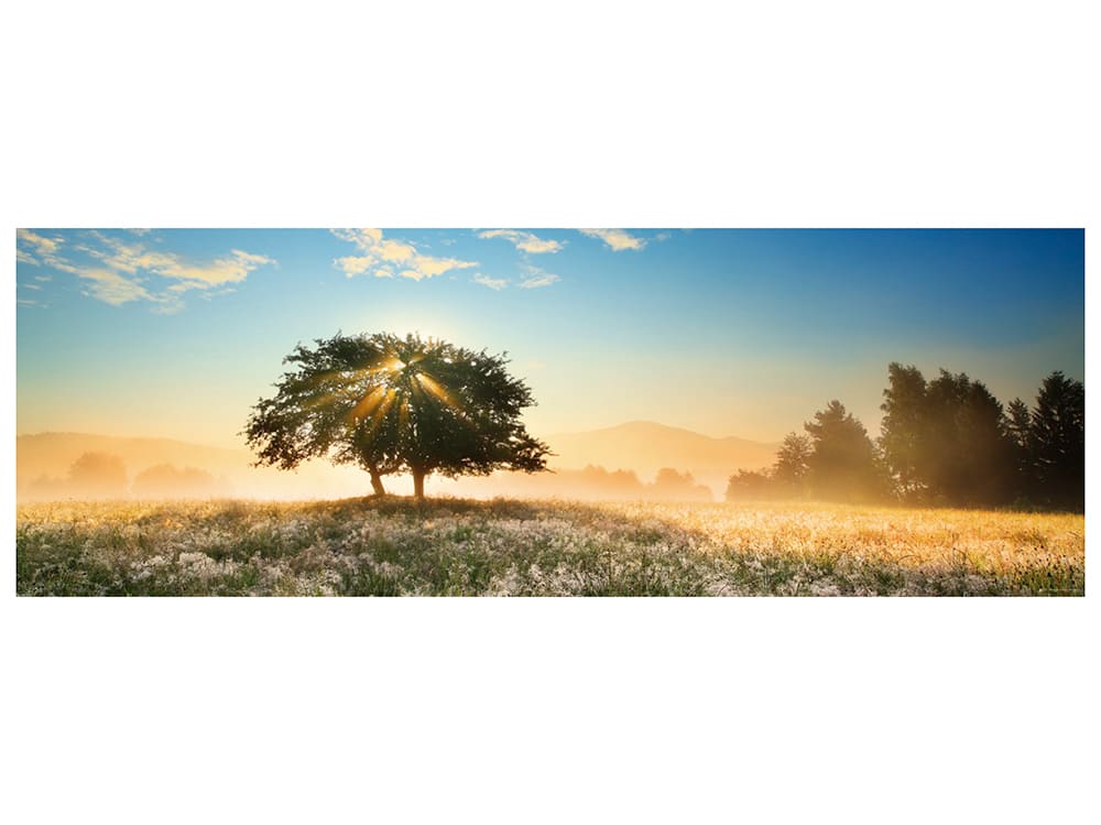 [จิ๊กซอว์พร้อมส่ง ขายดี] HEYE - Jigsaw Play of Light, Bieszczady Nation Park, Poland (Panorama) ขนาด 1000 ชิ้น